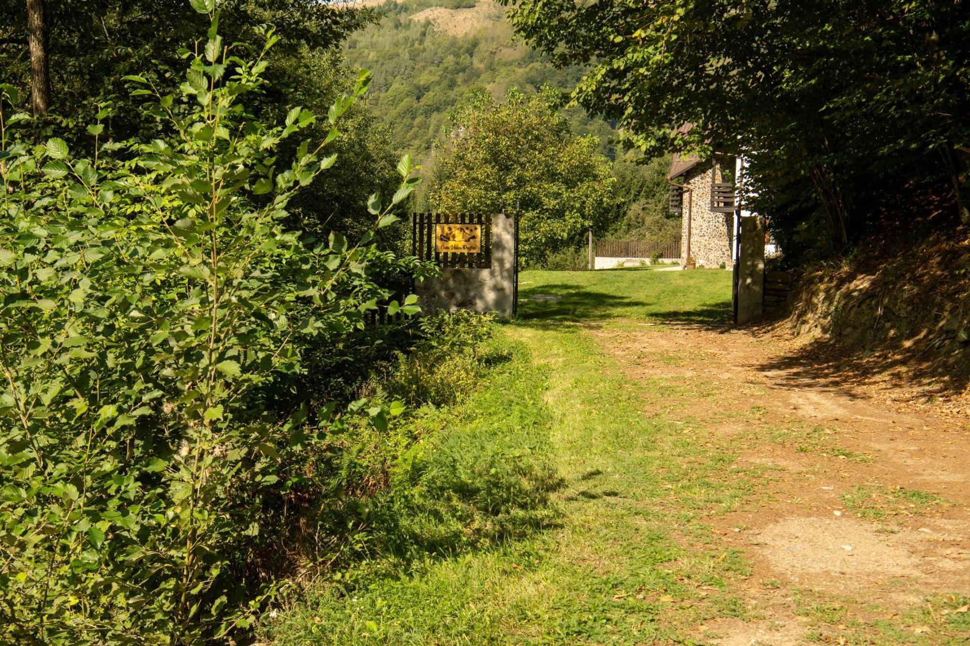 Casa De Vacanta Valea Prejbei Rau Sadului Exterior foto