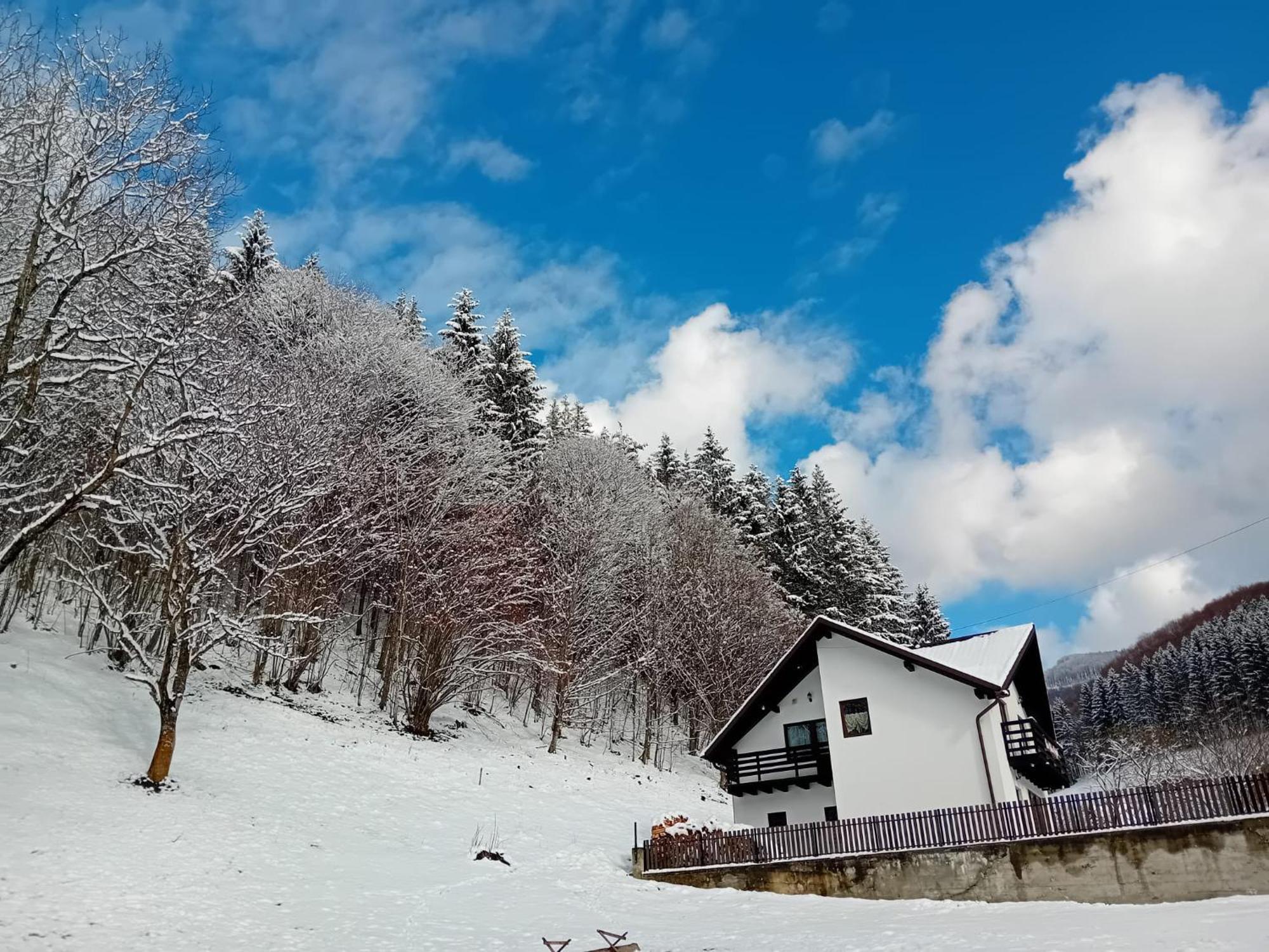 Casa De Vacanta Valea Prejbei Rau Sadului Exterior foto